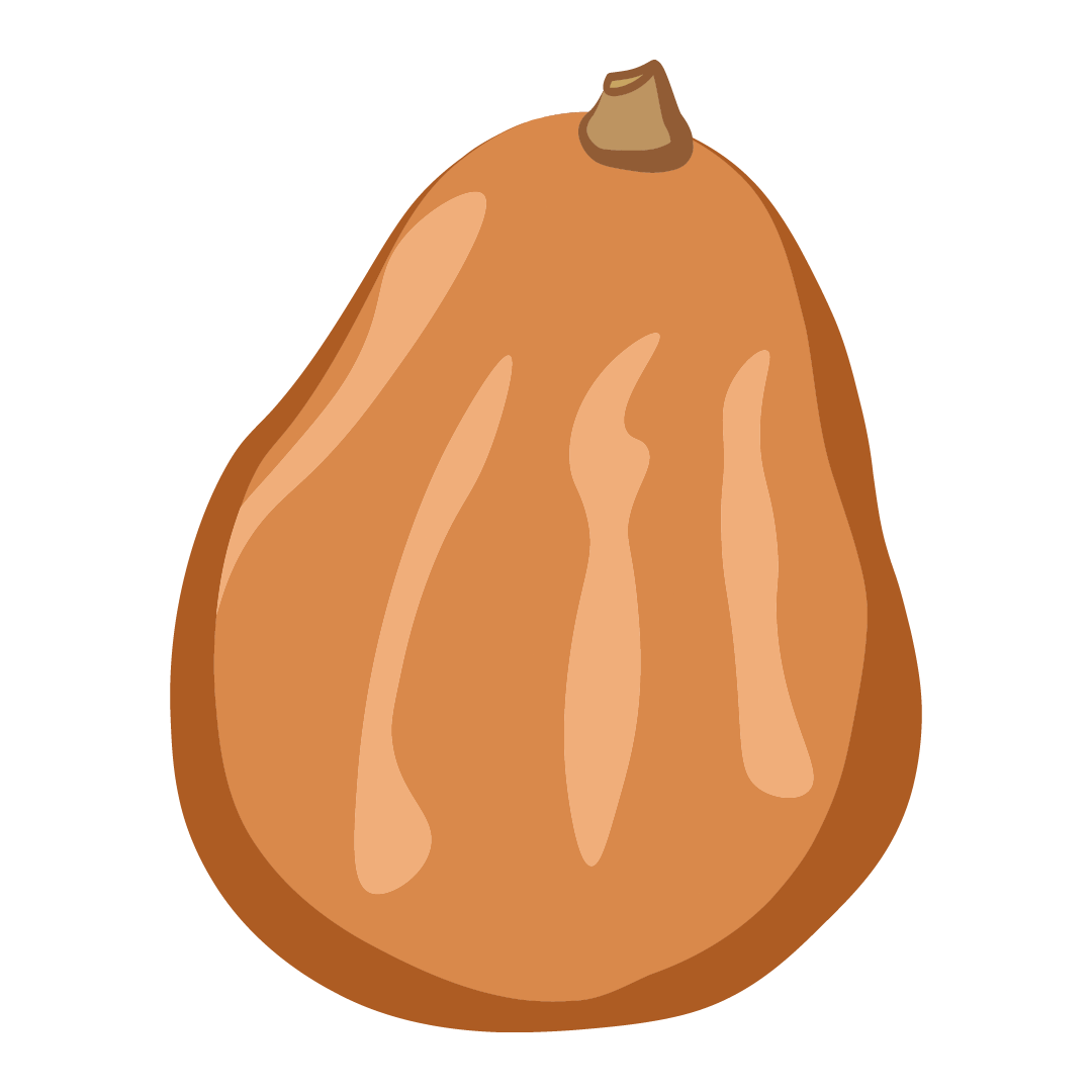 Courge Sucrine du Berry