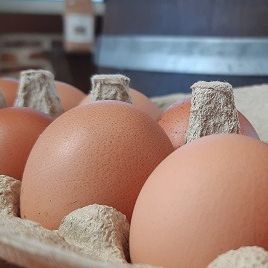 Gros Oeufs extra-frais