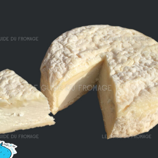 Fleur de Chèvre GABORIT (100gr)