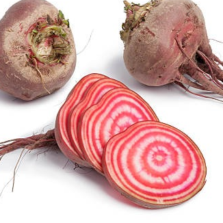 Betterave Chioggia