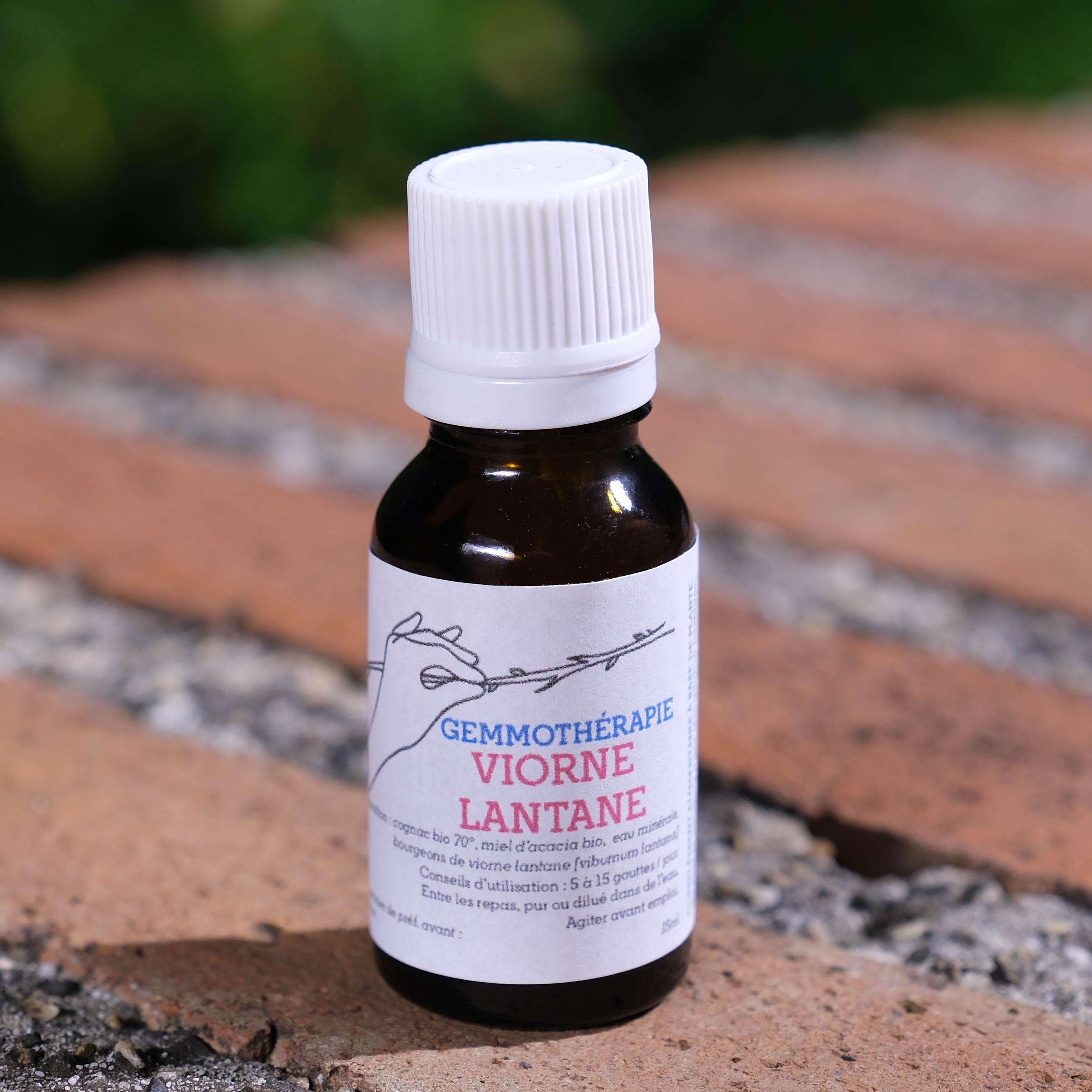 Viorne lantane • Respiration (bronche, poumon) & Peau - 15ml