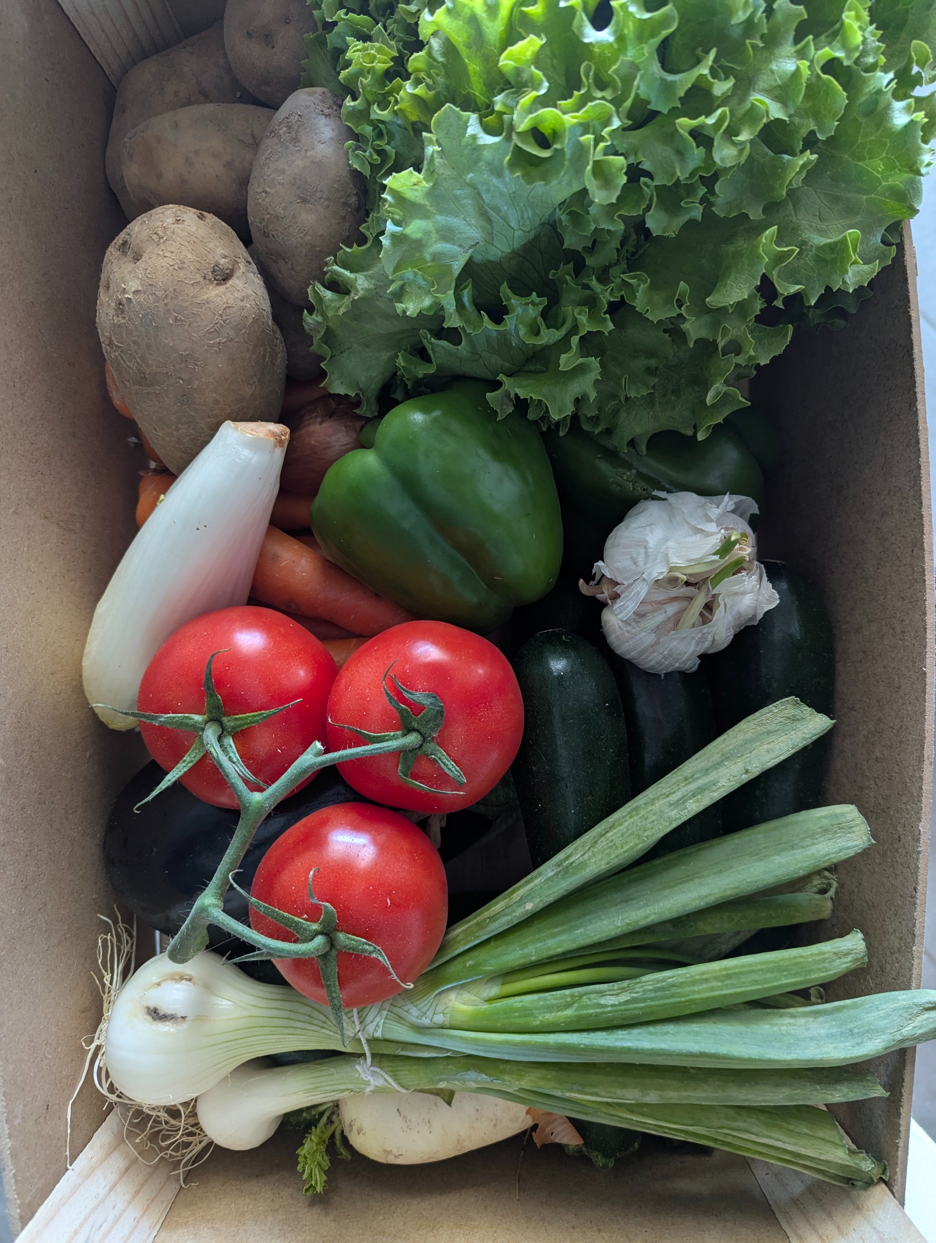 PANIER ANTI GASPI environ 6 KG (Fait de produits de saison)