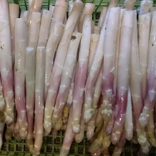 Asperge blanche moyenne - 500g