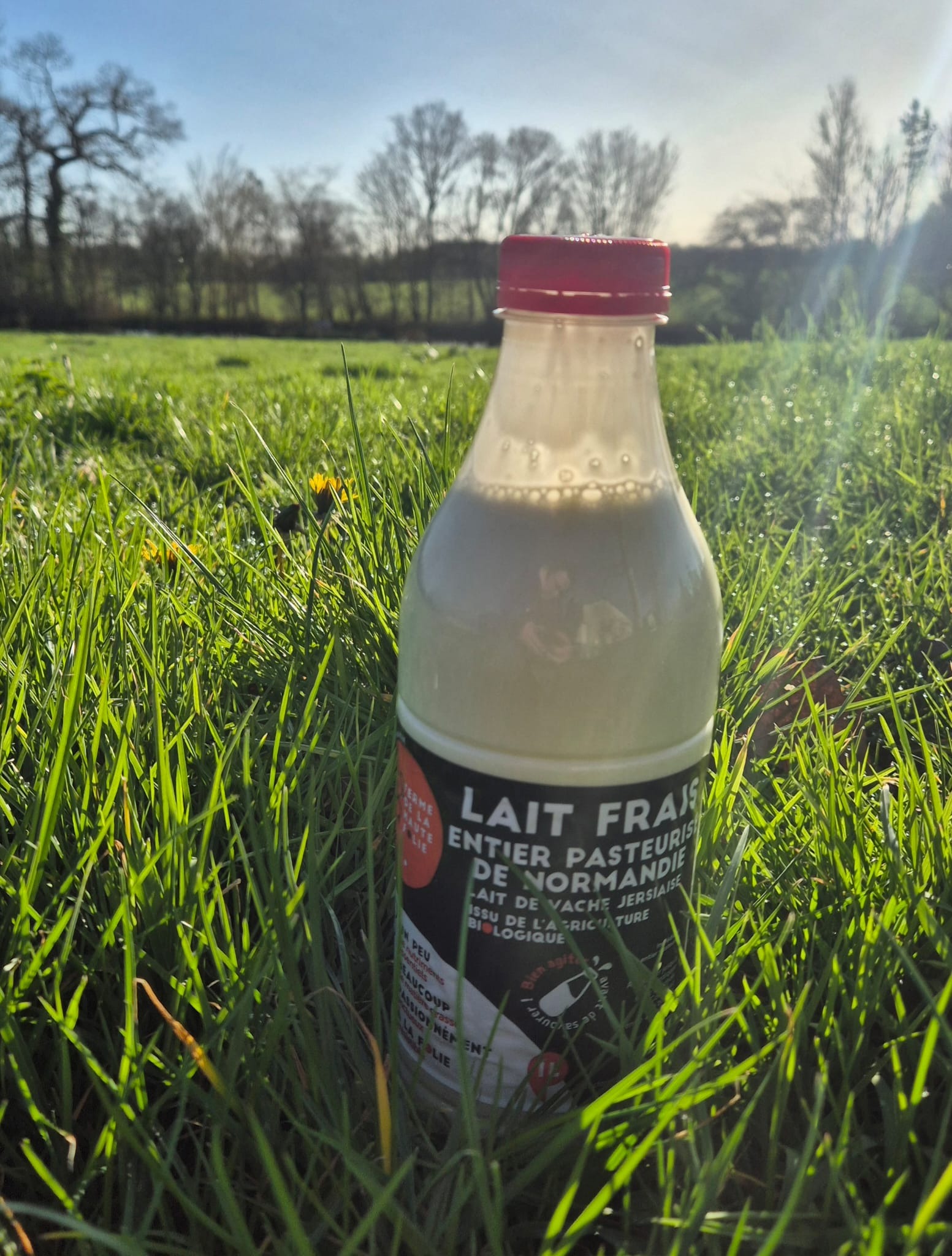 Lait entier pasteurisé 1 L - 1l