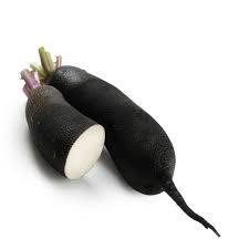 Radis noir long
