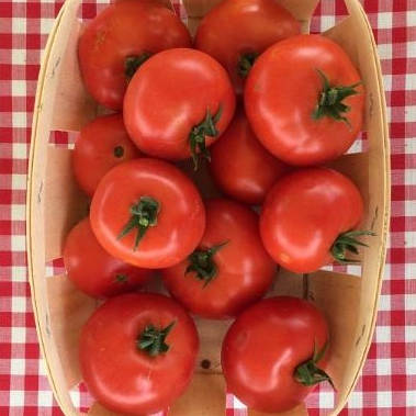 Tomates Rondes Le Kg (origine: La Cueillette 59 France)