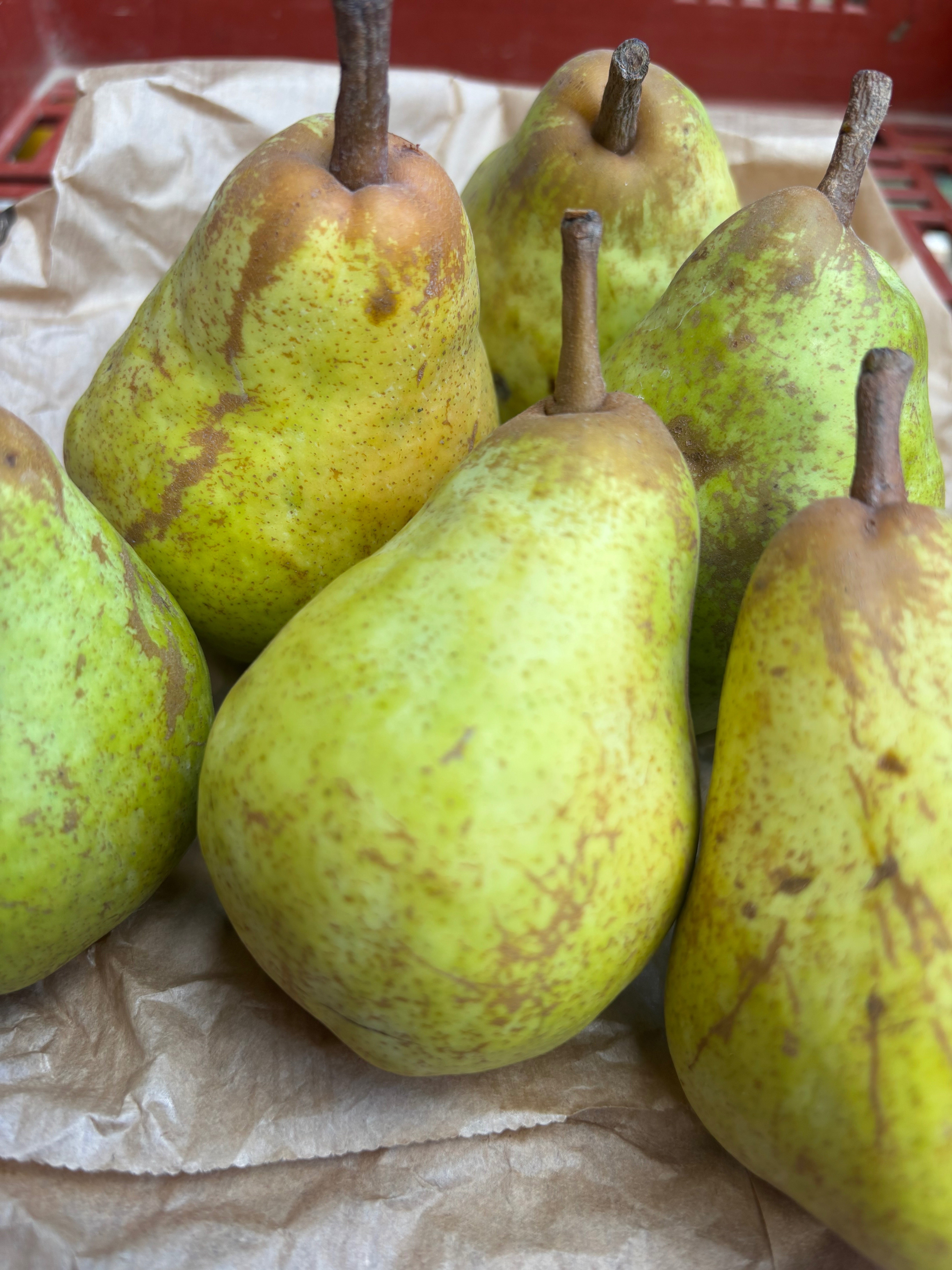 Poire Conférence BIO