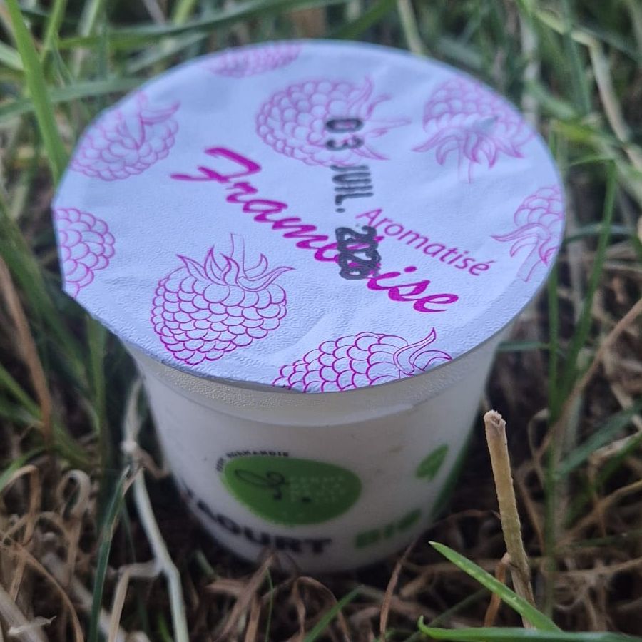 Yaourt aromatisé Framboise - 100g