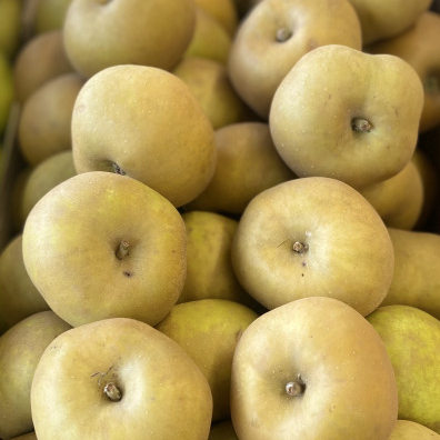 Pomme Grise du Canada BIO