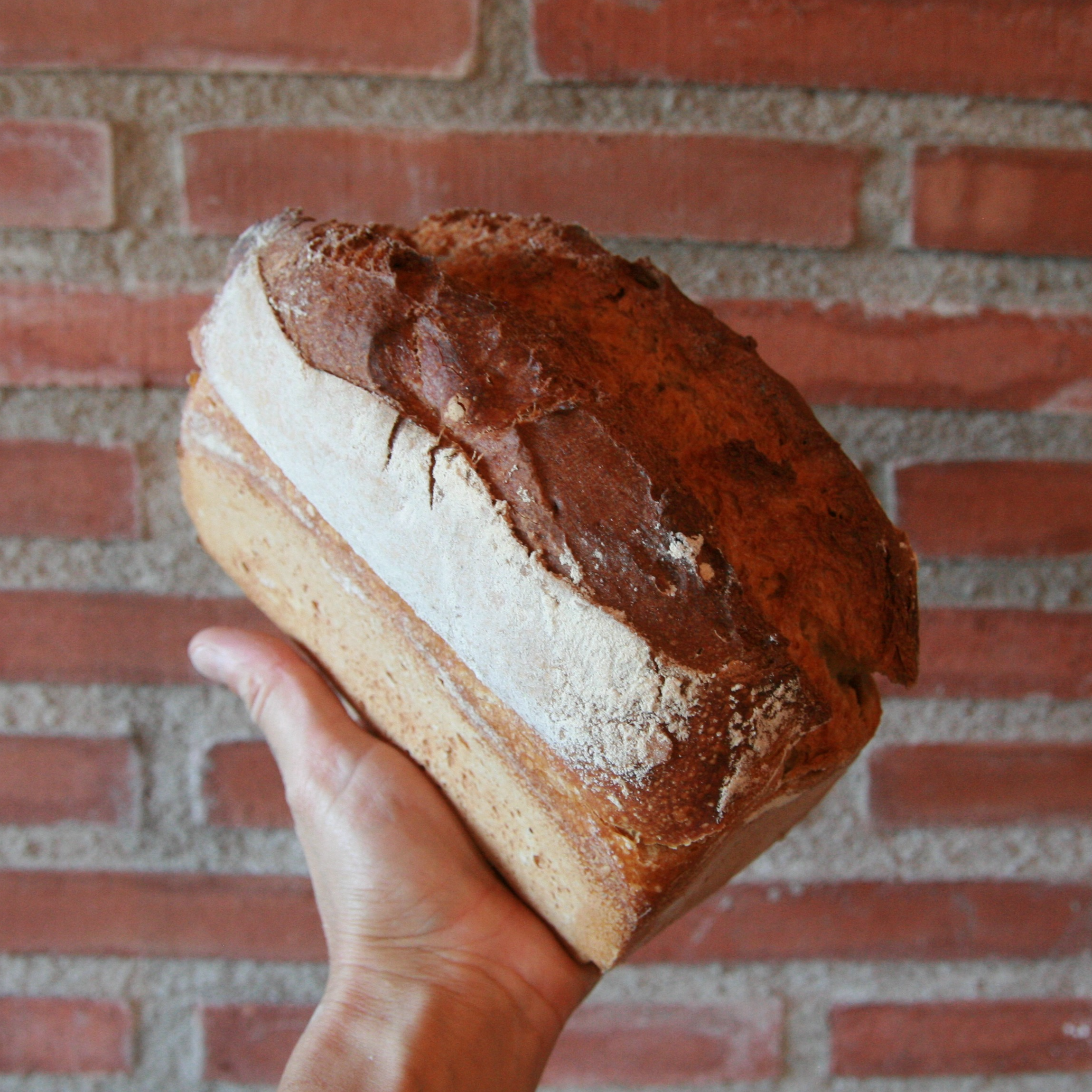 Pain aux Blés de Population Moulé - 0,65kg