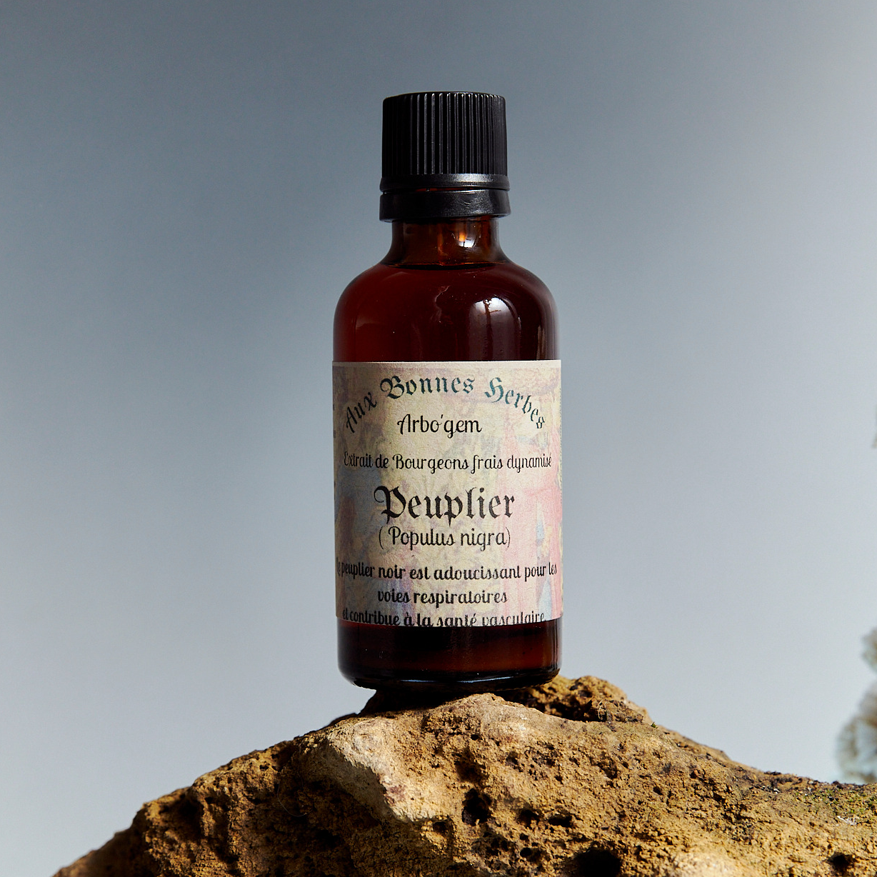 Peuplier noir - 50ml