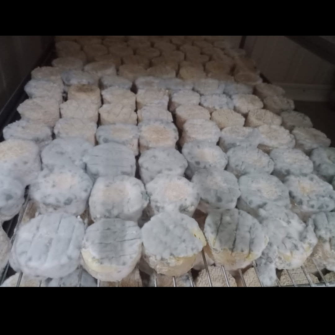 Rouleau de 4 chèvre sec affinés - 120g