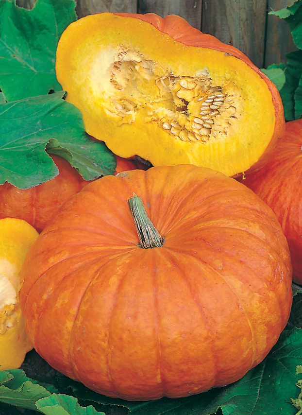 Courge Potiron rouge vif d'Etampes - 1kg