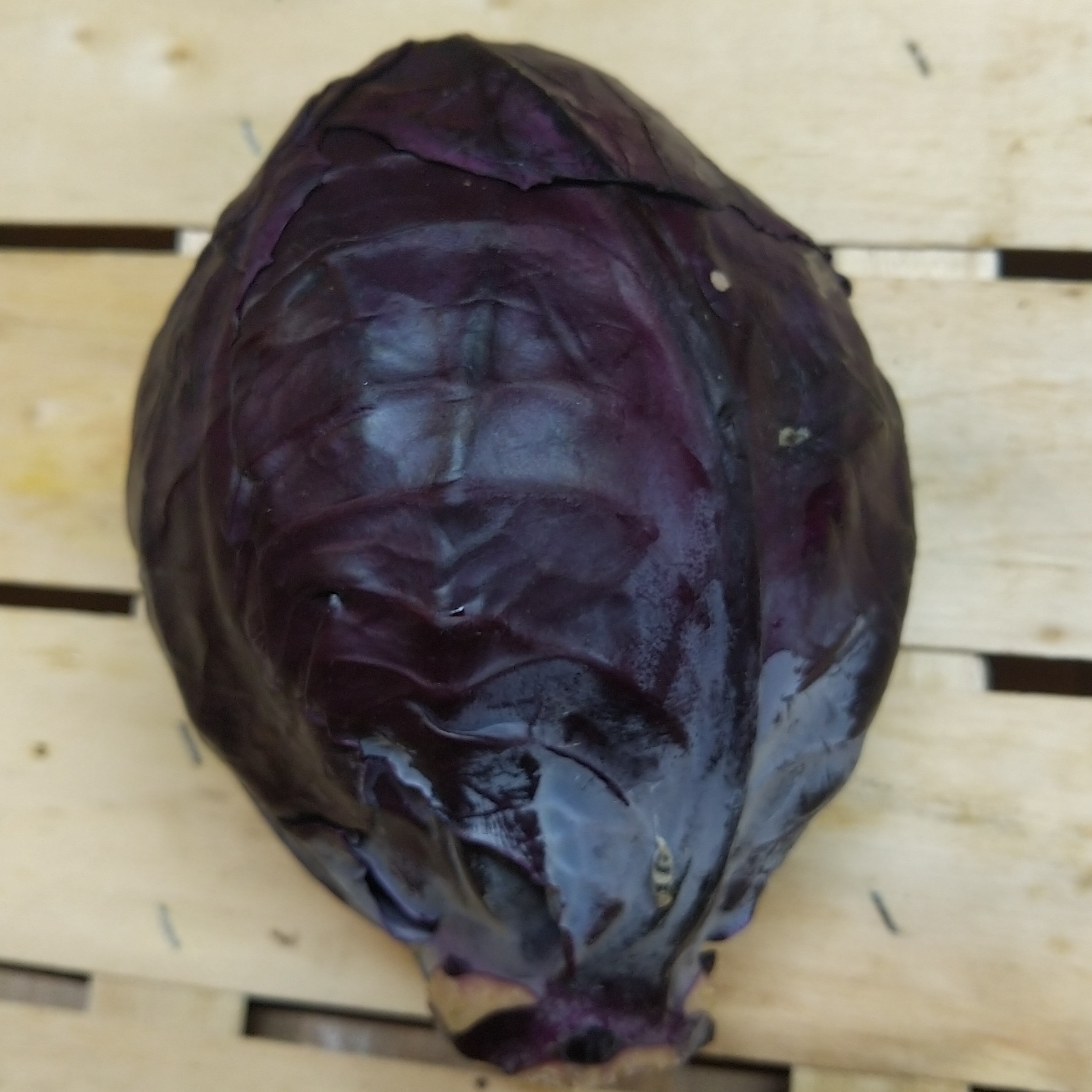 Chou rouge (pièce) - 1kg