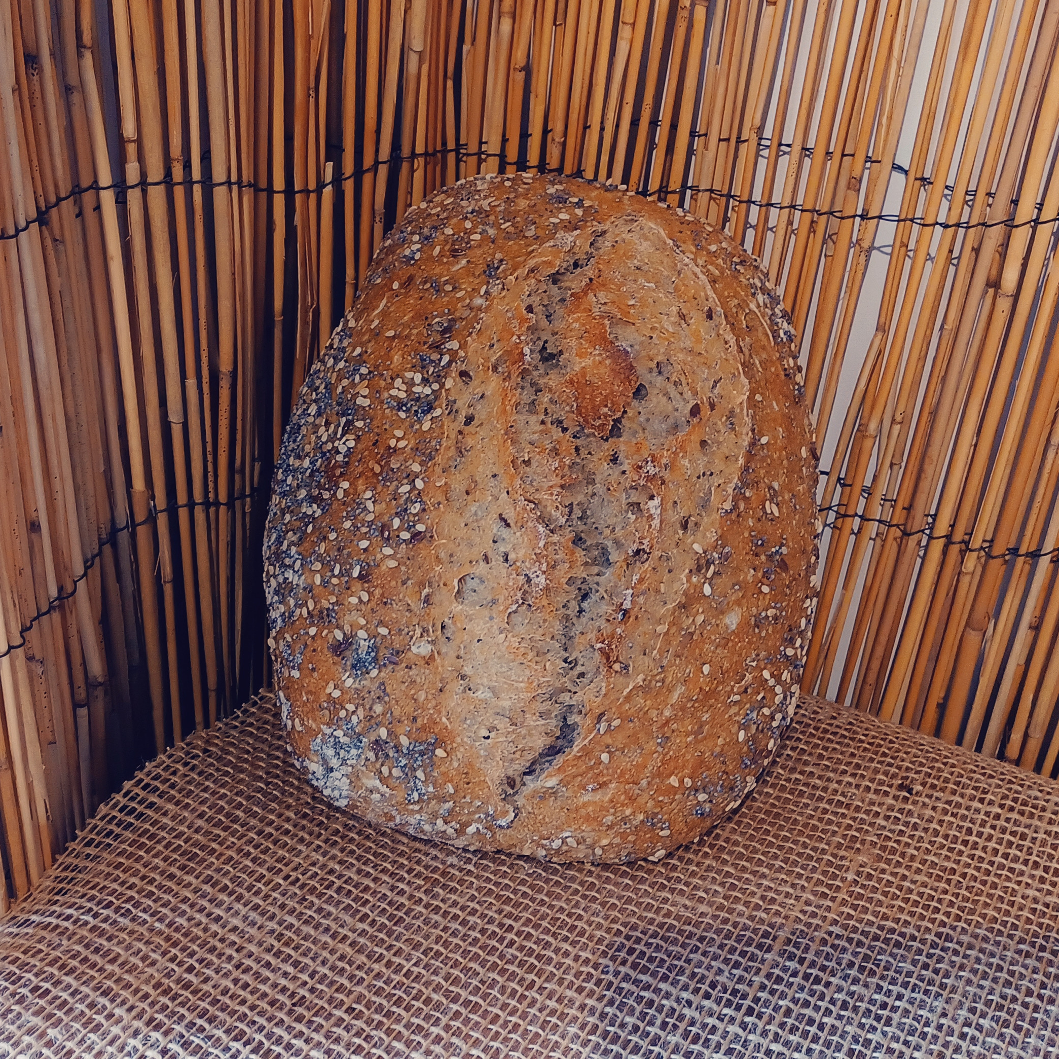 Pain Lin Pavot Sésame - 500g