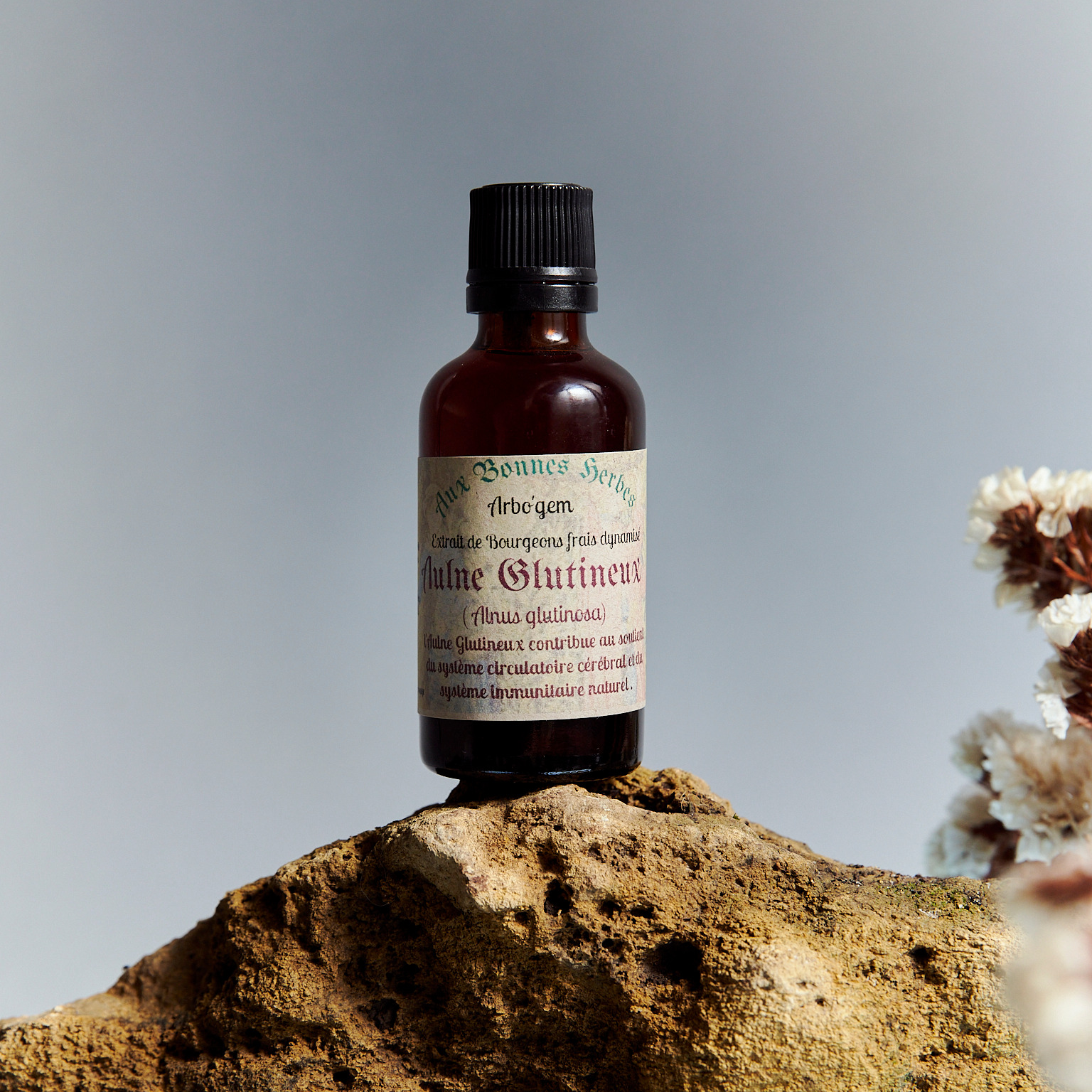 Aulne glutineux - 50ml