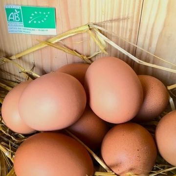 Les 30 oeufs bio extra frais - Des Poulettes de Paley