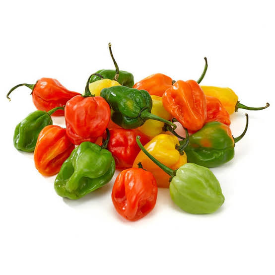 Plant Piment Antillais