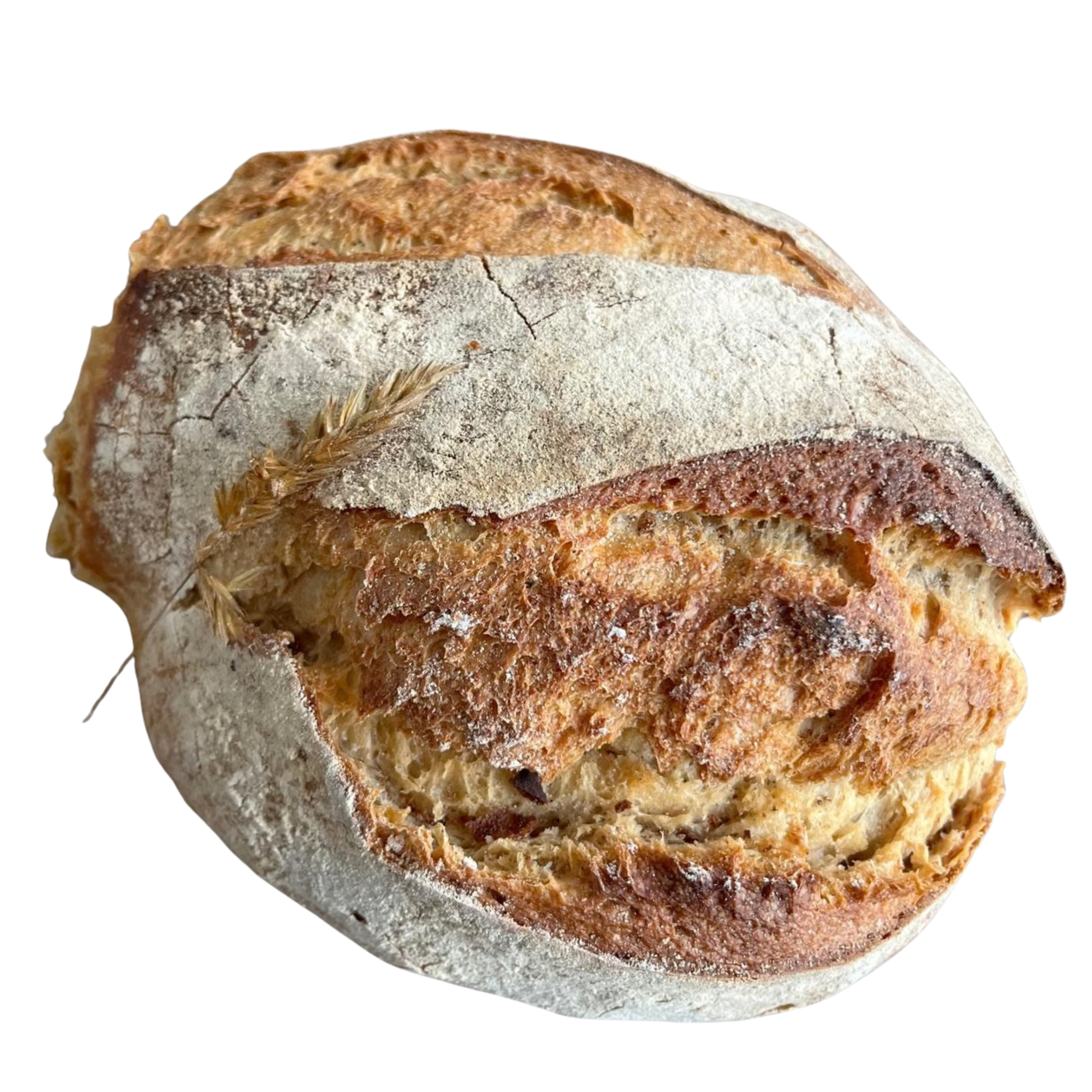 Pain des Sorcières - 500g