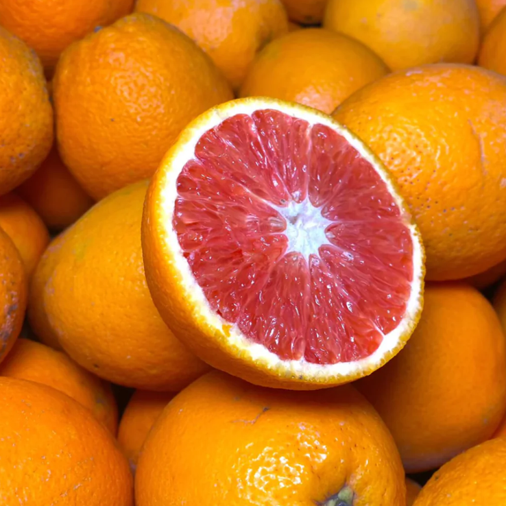 Orange chair rose Cara Cara - 500g