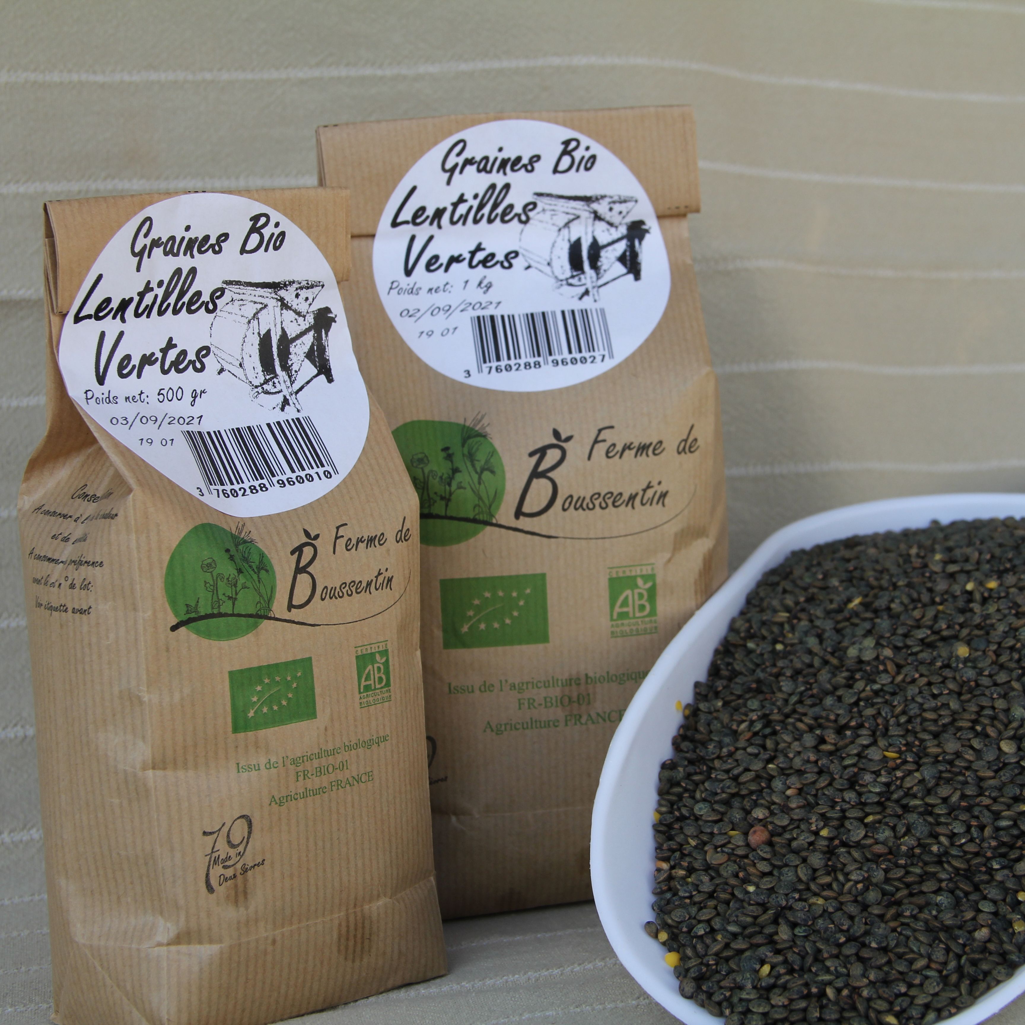 Lentille verte bio