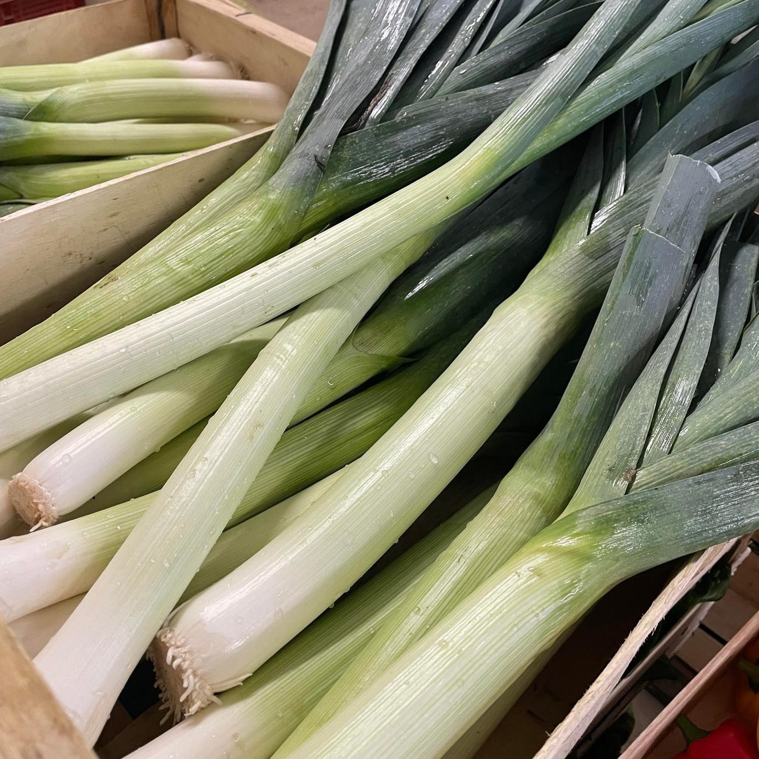 Botte de Poireaux (800gr)