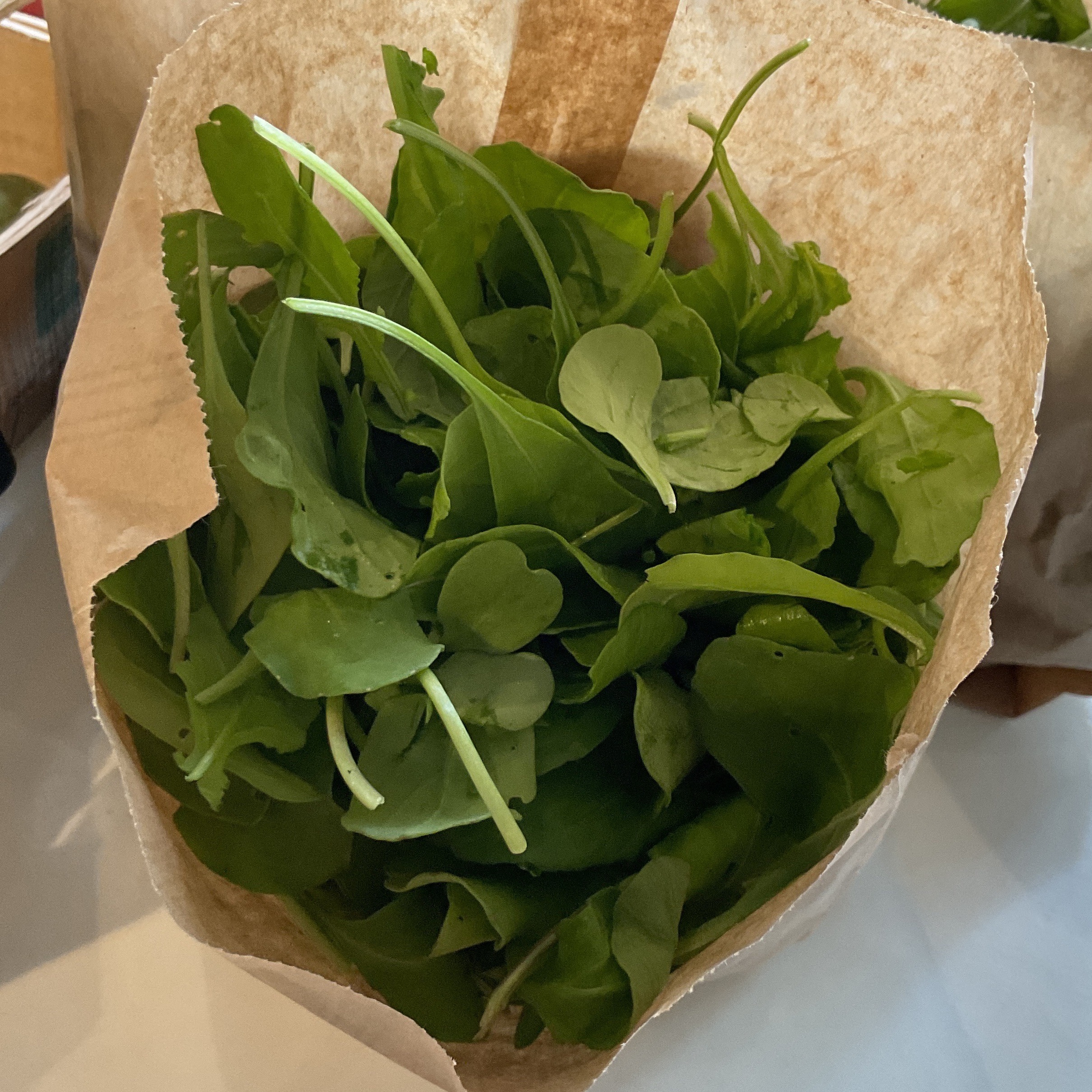 Roquette