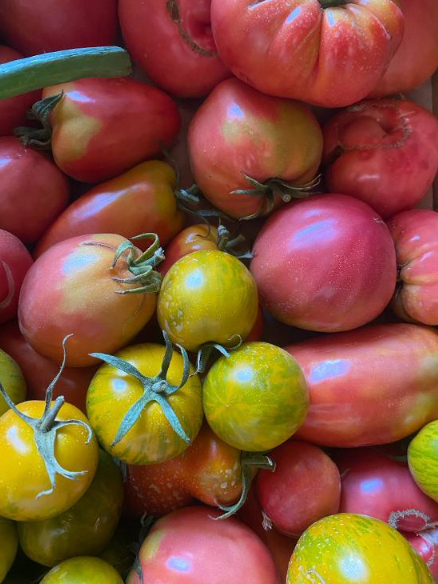 tomates anciennes  mixtes 500g - 500g