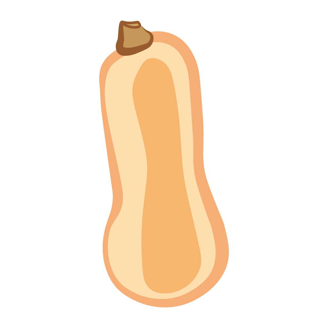 Courge Butternut