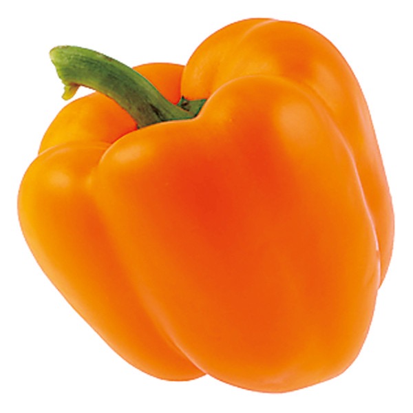 Plant Poivron Carré Orange - 250g