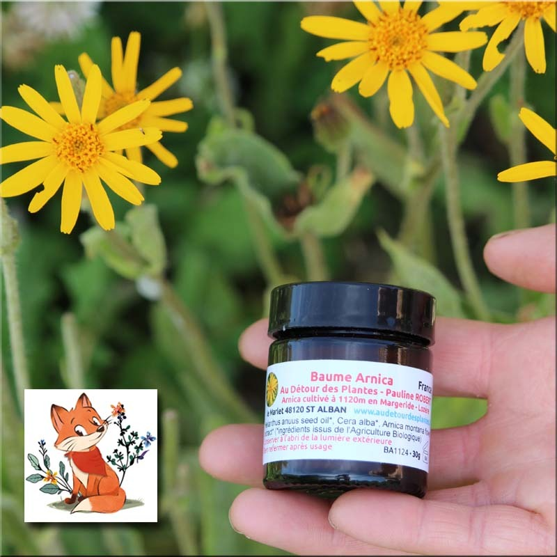 Baume à l'Arnica - 30g