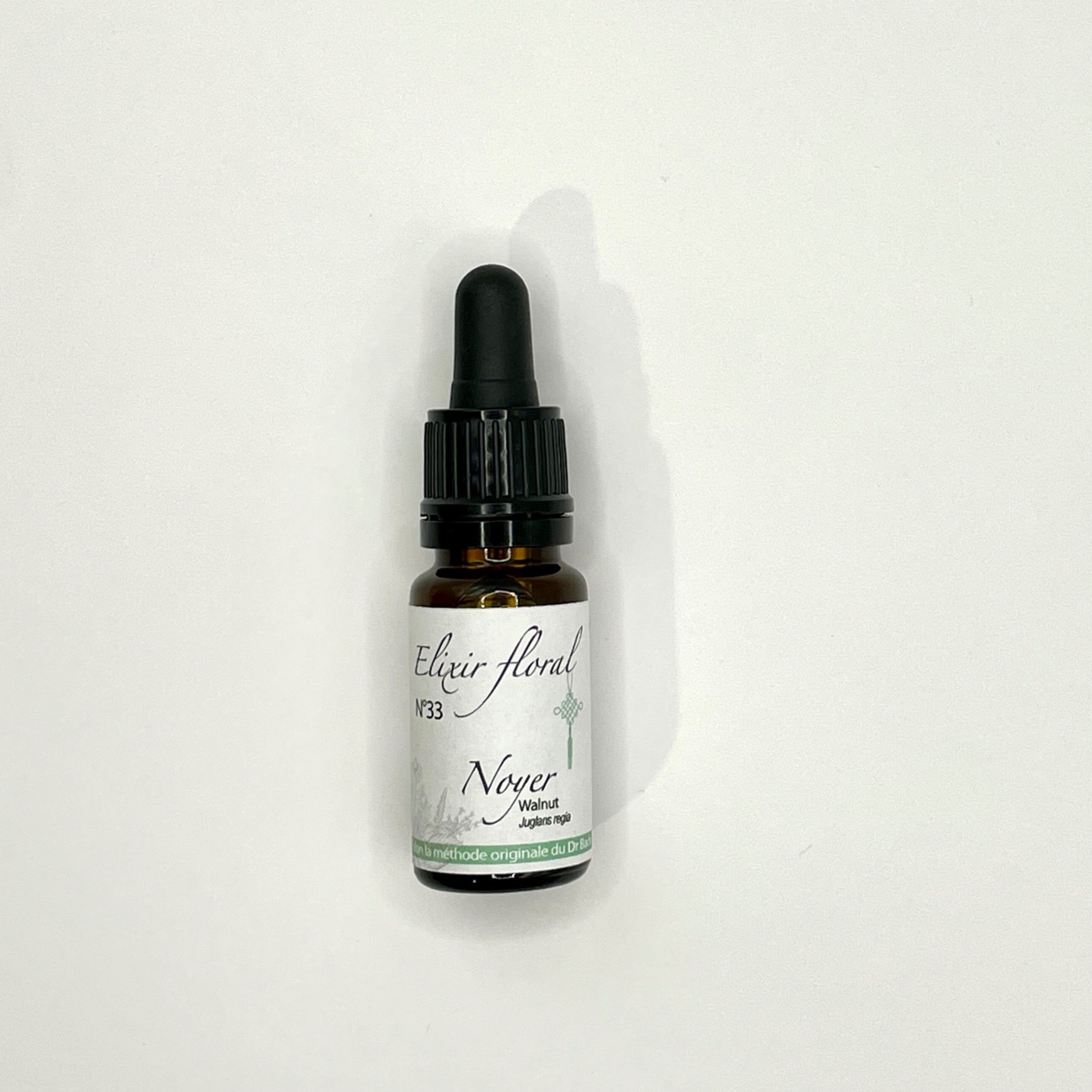 NOYER, Juglans regia, WALNUT - 33 - 10ml