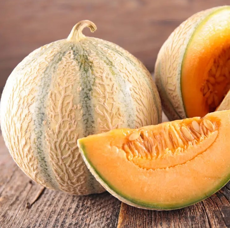MELON CHARENTAIS