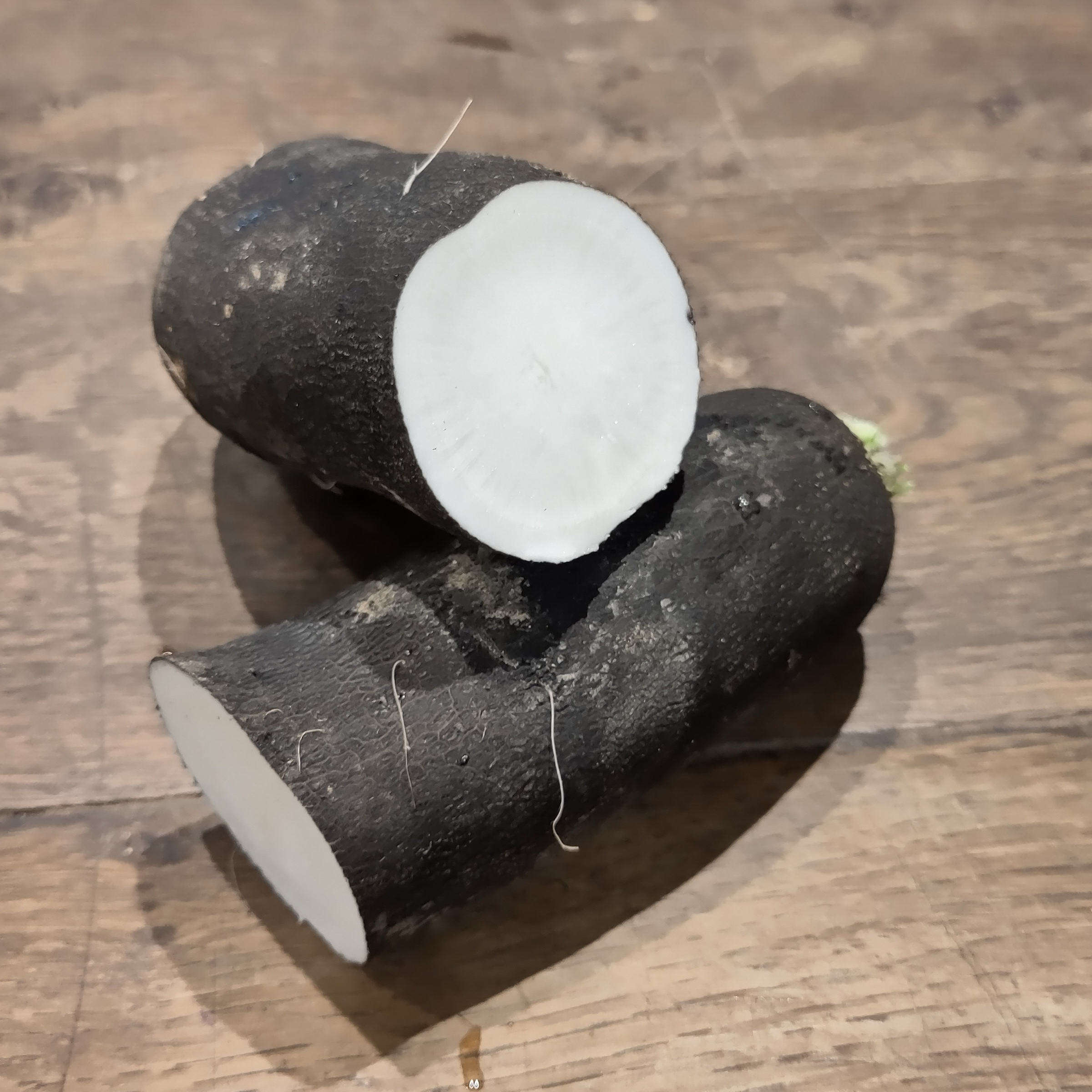 Radis rave noir long BIO