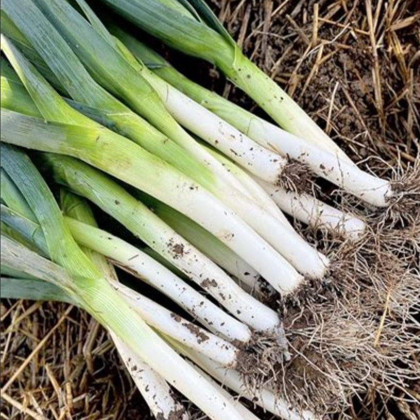 Poireaux au kg