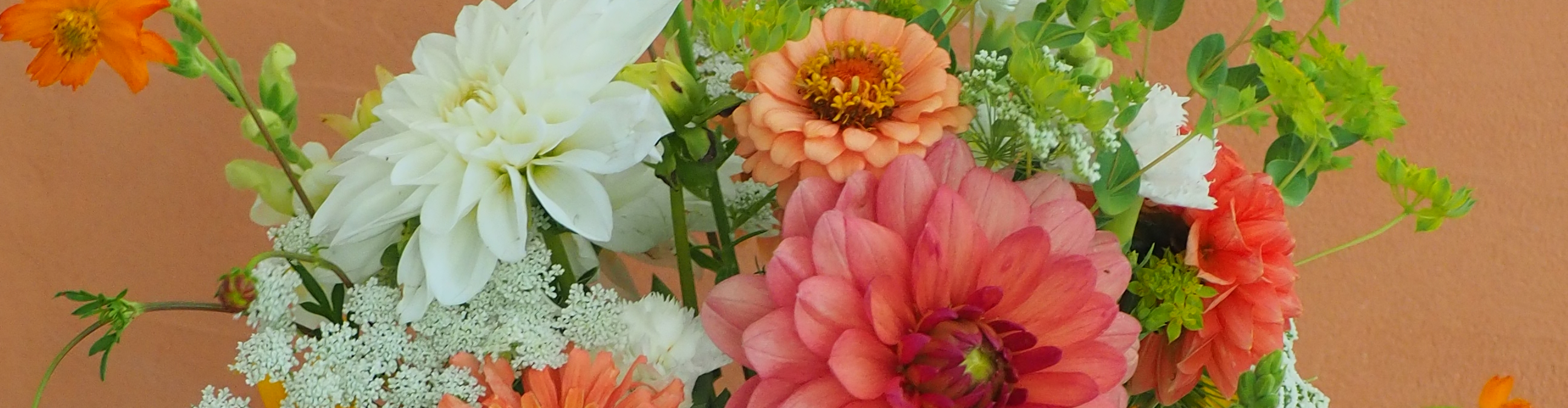 Ferme florale du Salabert