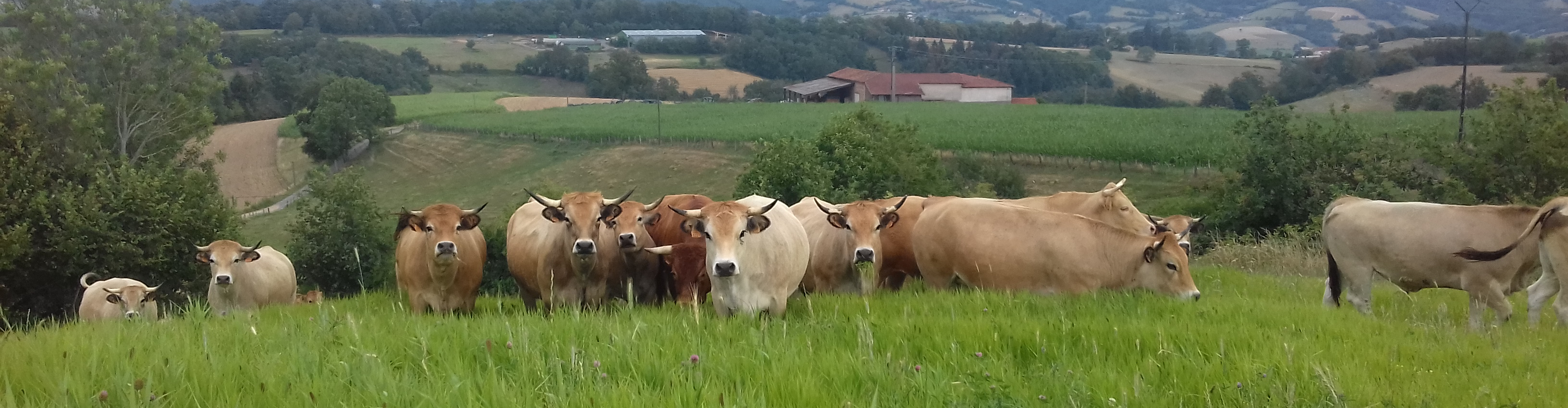 LA FERME DES BOURETTES