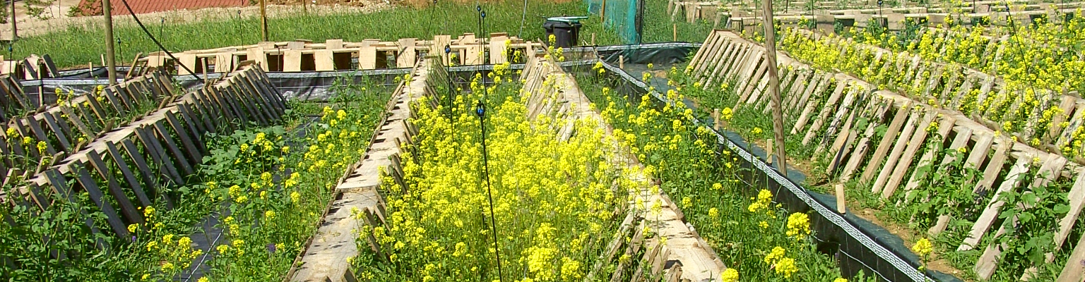 Les Escargots d'Armeau