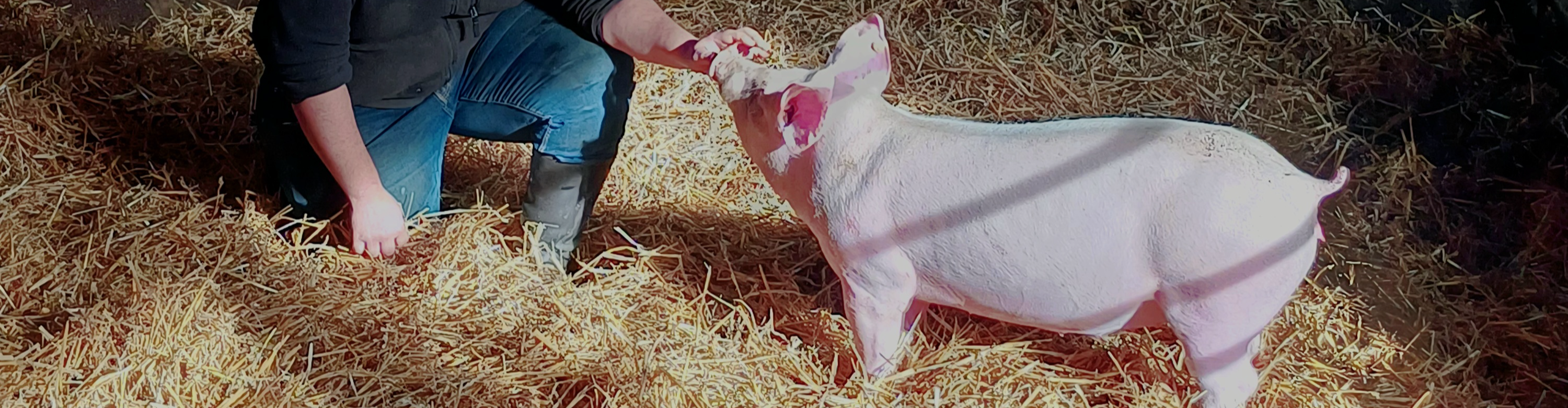 La Ferme D'Enez Rouz