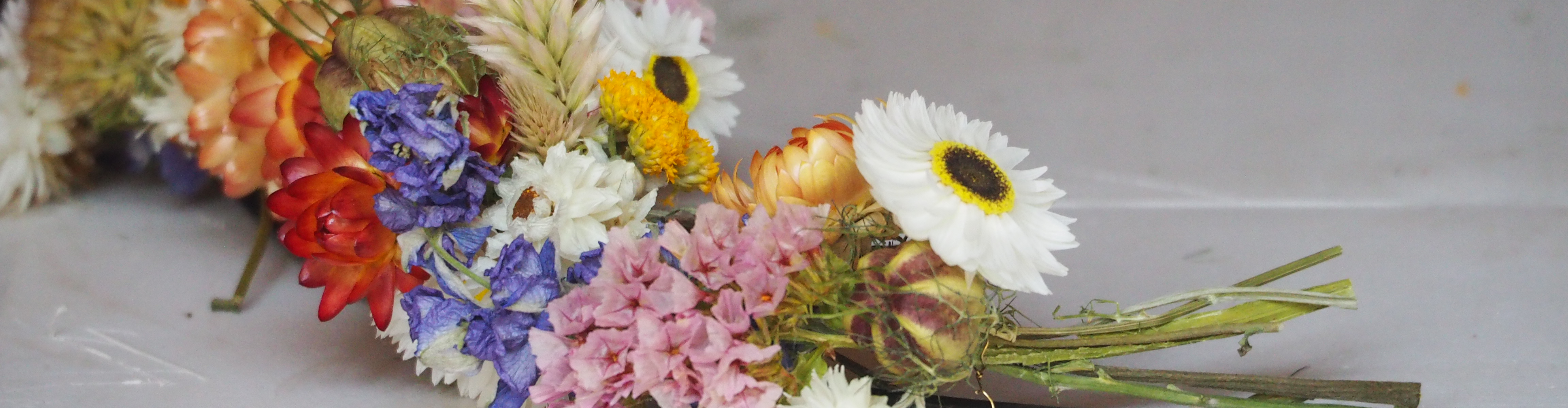 Ferme florale du Salabert