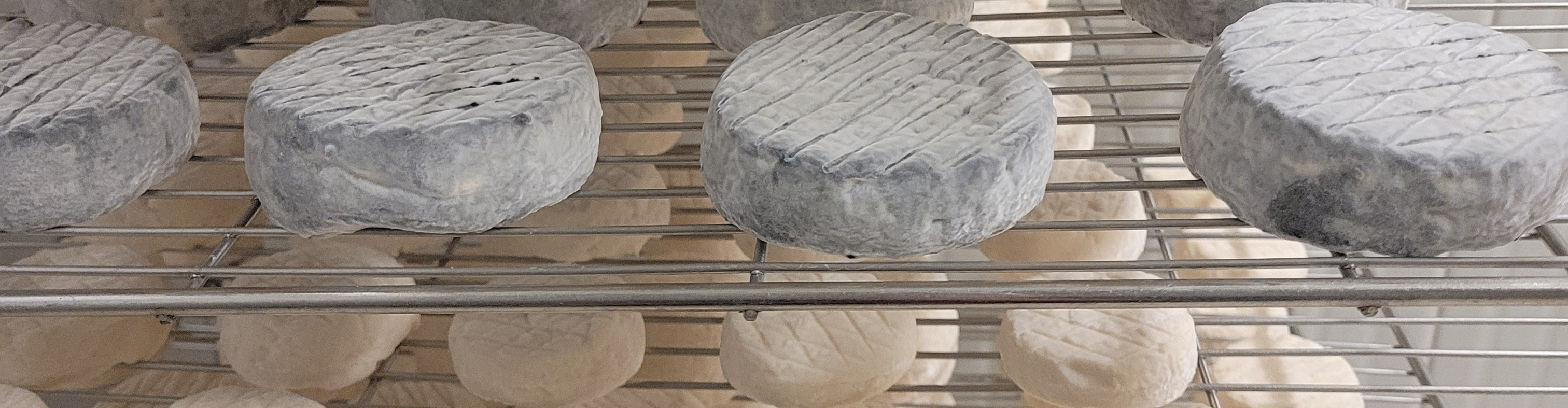 Chèvrerie de La Tuilerie