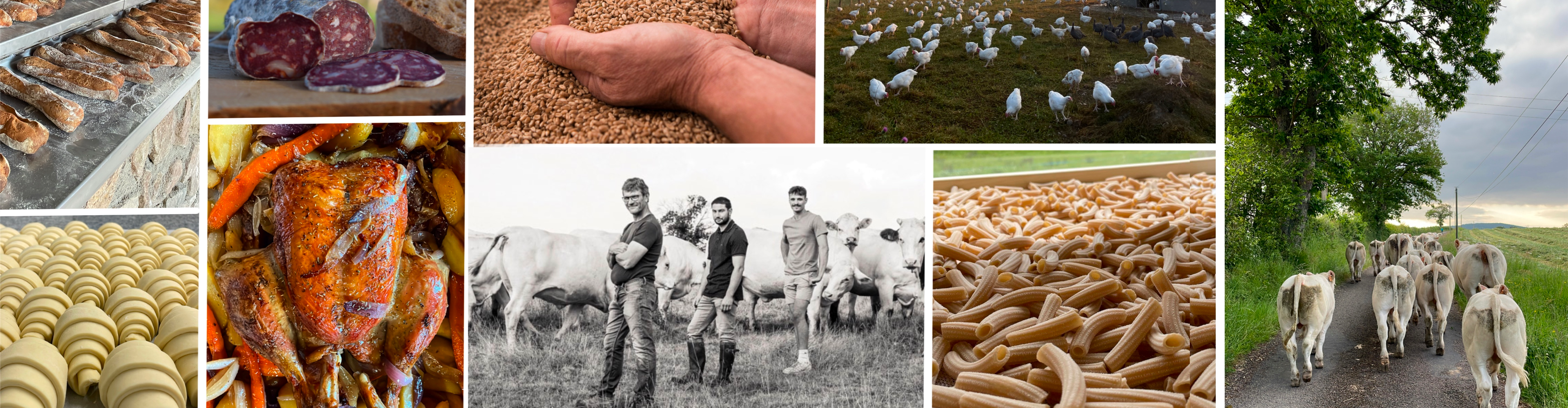 La Ferme de La Lutarne (GAEC Joly)