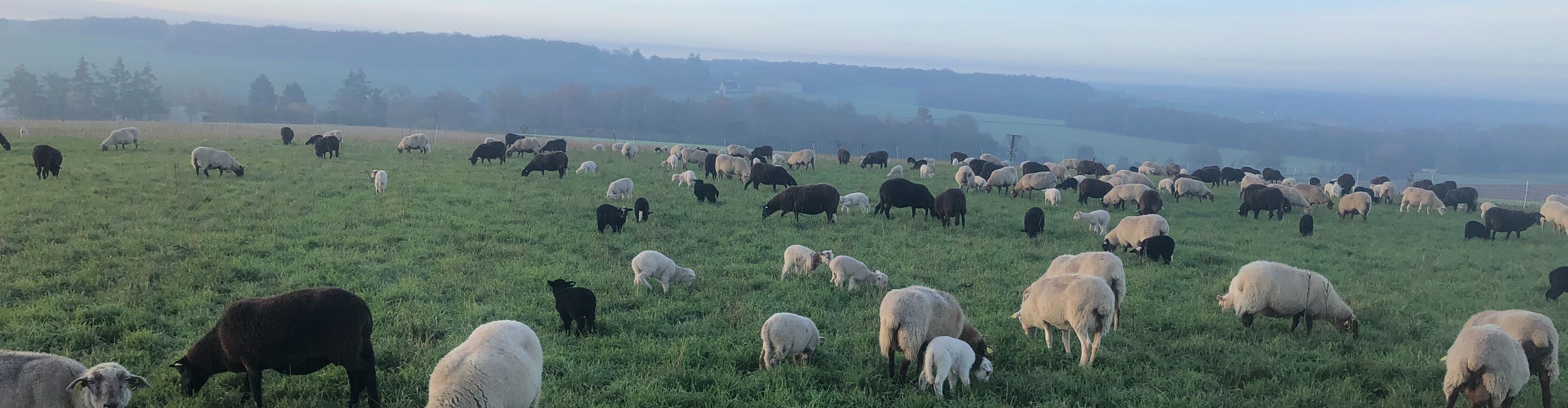 Ferme de la Noé