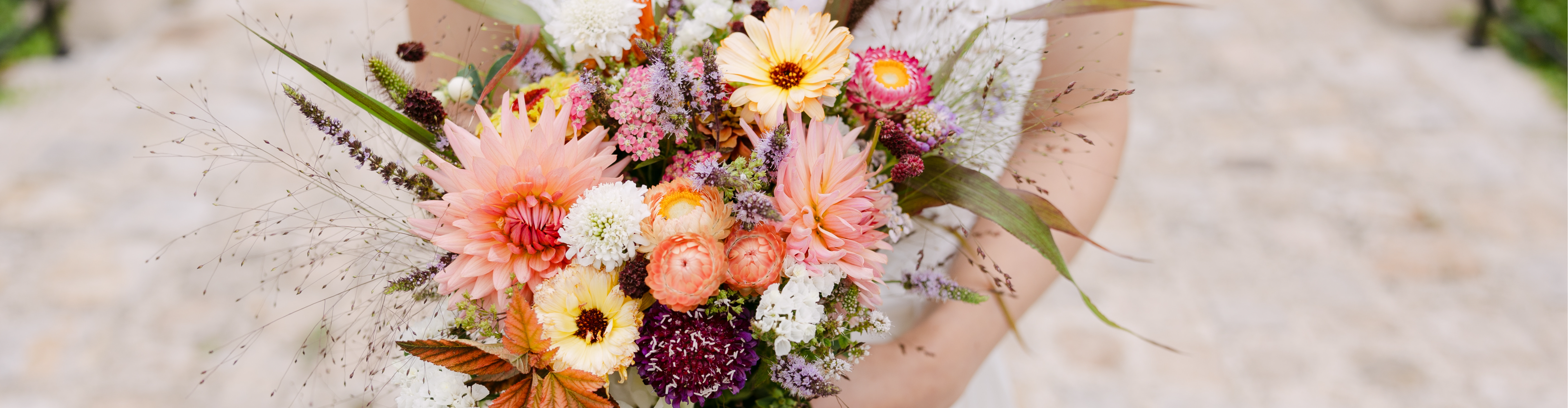 GAEC Ferme Les Messicoles