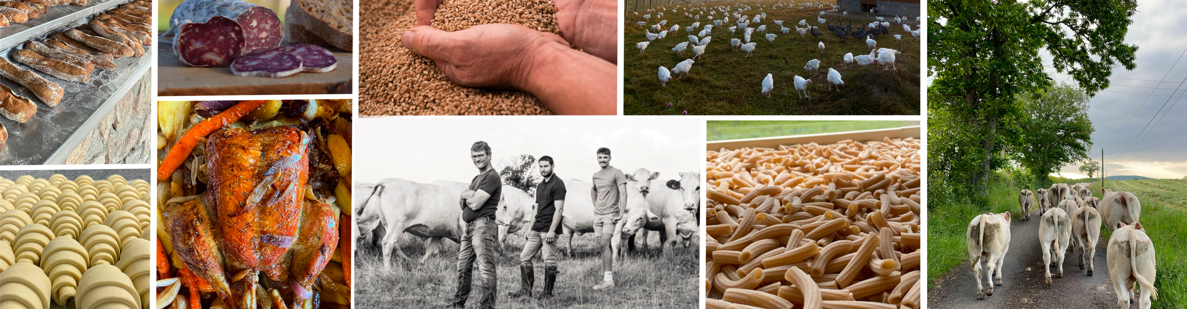 La Ferme de La Lutarne (GAEC Joly)