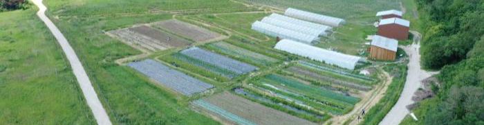 Sauvages et Cultivées