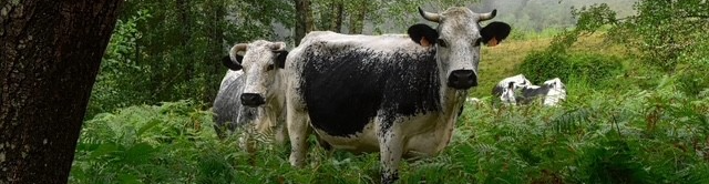 Ferme Joël & Alexandra Pierrat