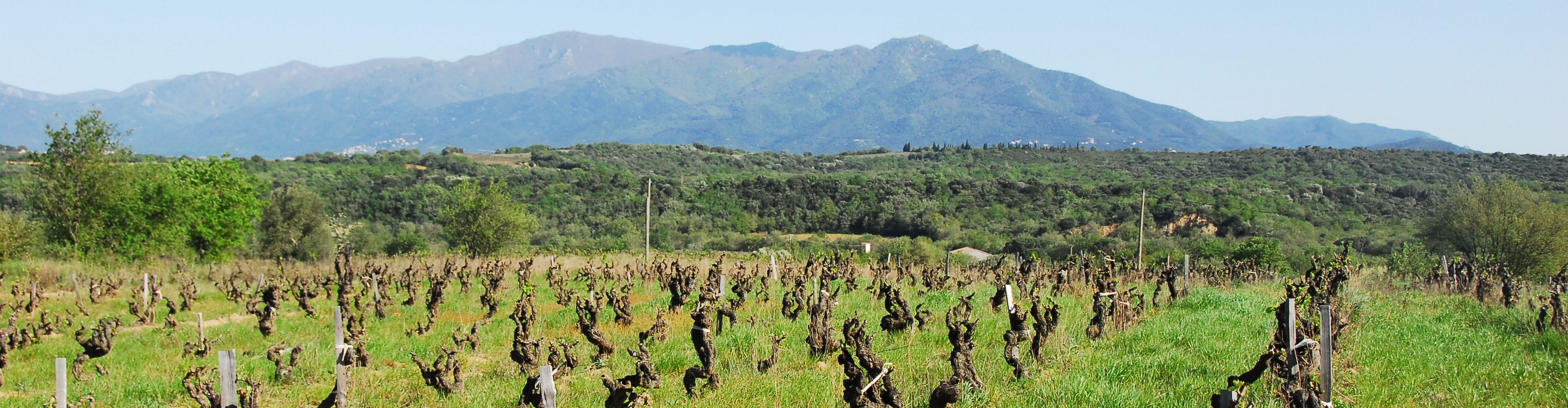 Domaine Eole 