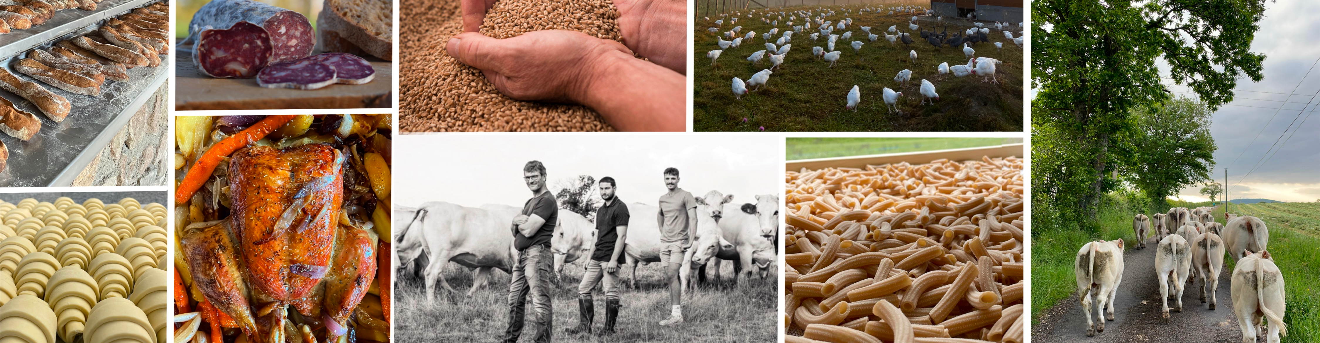 La Ferme de La Lutarne (GAEC Joly)