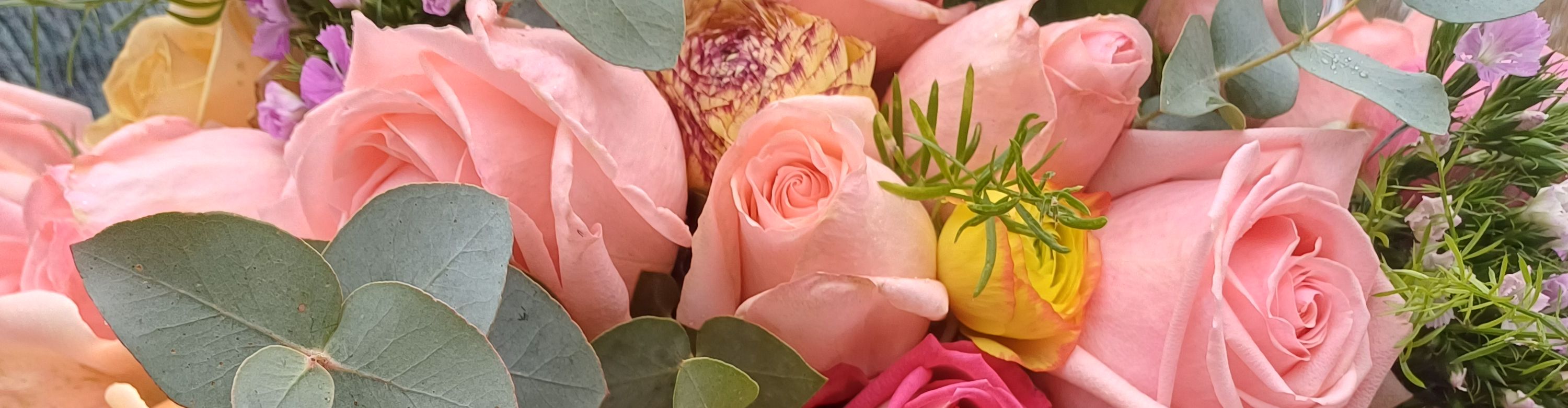 Les Roses de la Prade